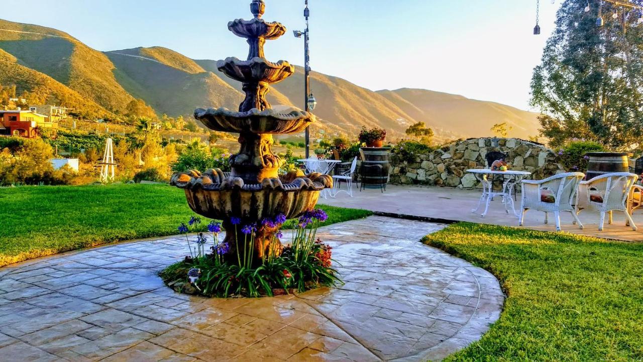 Vina Calabria Bed and Breakfast Valle de Guadalupe Esterno foto
