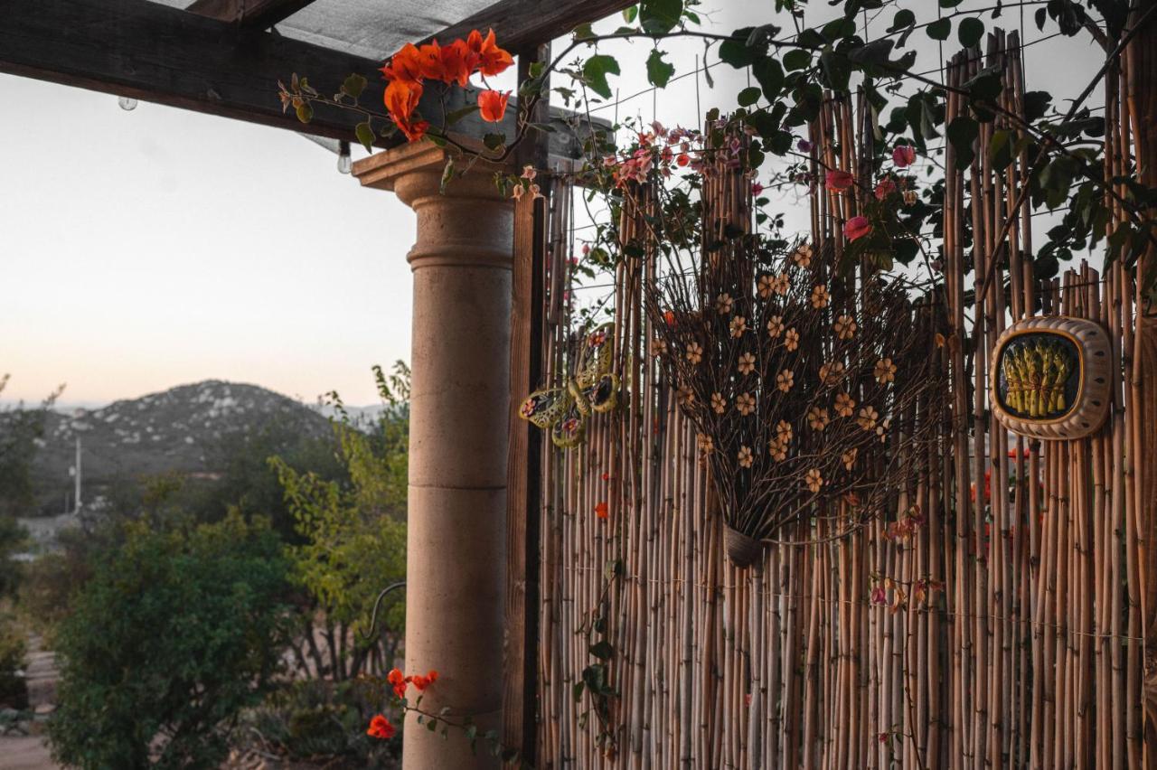 Vina Calabria Bed and Breakfast Valle de Guadalupe Esterno foto