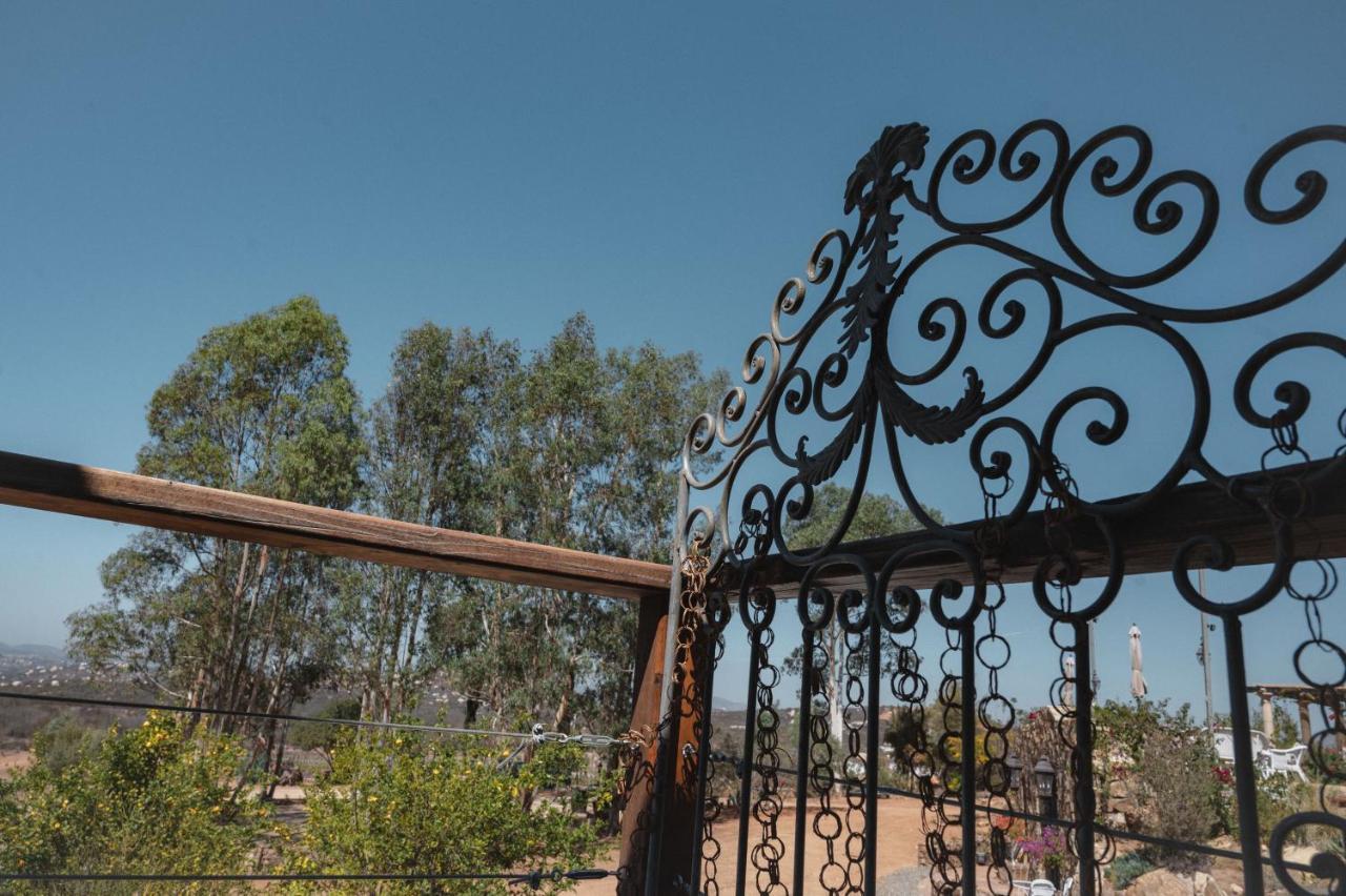 Vina Calabria Bed and Breakfast Valle de Guadalupe Esterno foto