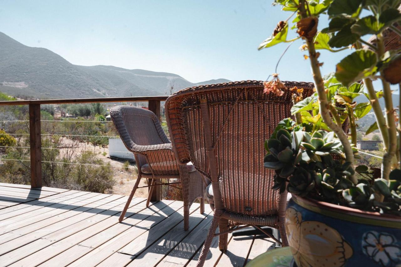 Vina Calabria Bed and Breakfast Valle de Guadalupe Esterno foto